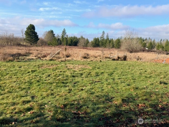 320 Pine Tree Road Toledo, WA 98591 - Photo 8 of 9