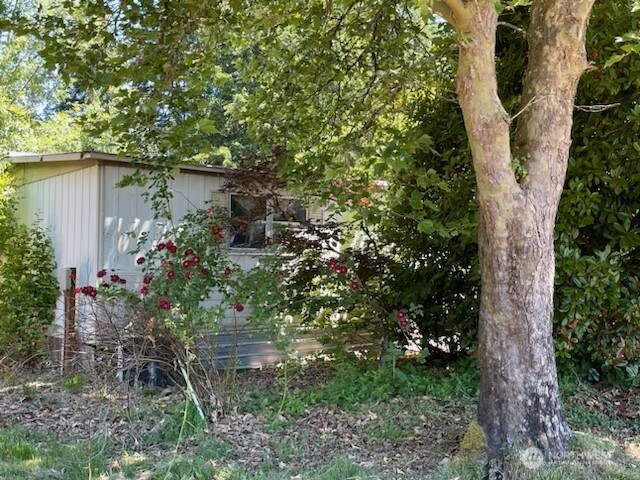 320 Pine Tree Road Toledo, WA 98591 - Photo 8 of 17