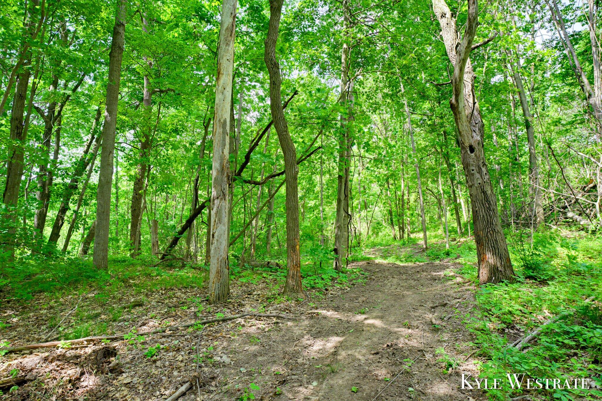 5505 Keller Road Delton, MI 49046 - Photo 26 of 30 11-KYL00034