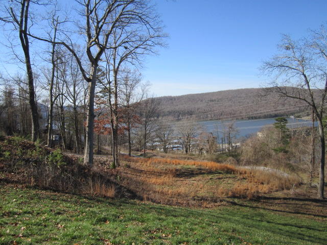1625 Hales Bar Road Guild, TN 37340 - Photo 38 of 52 IMG_2274