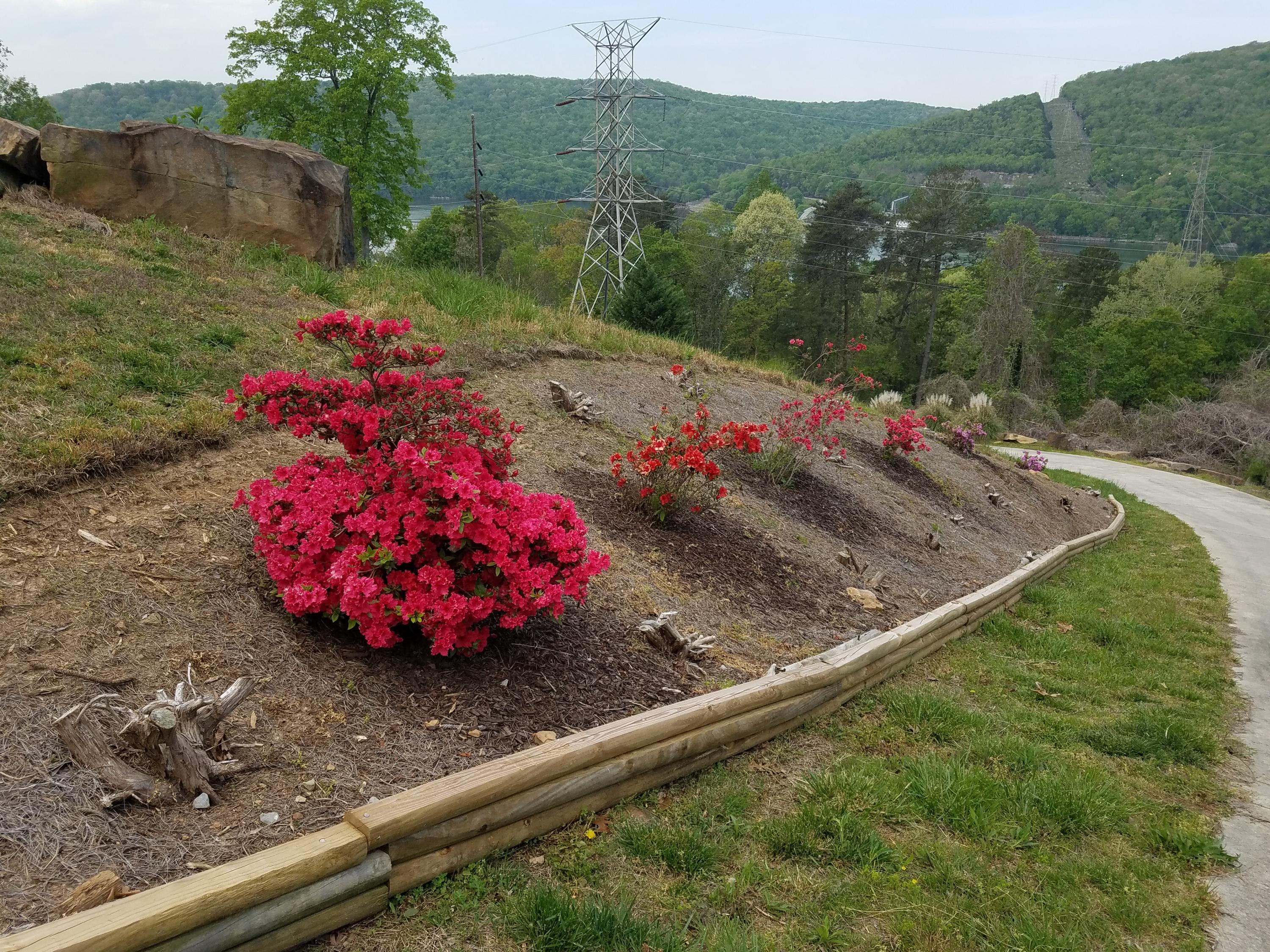 1625 Hales Bar Road Guild, TN 37340 - Photo 39 of 52 flowing bank