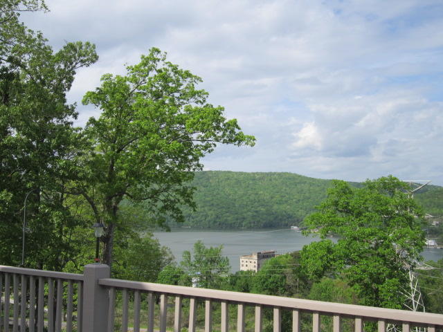 1625 Hales Bar Road Guild, TN 37340 - Photo 43 of 52 IMG_2301