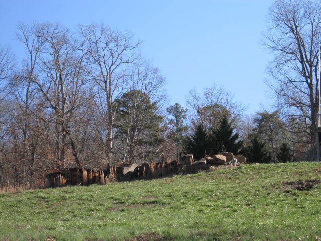 1625 Hales Bar Road Guild, TN 37340 - Photo 45 of 52 IMG_2293