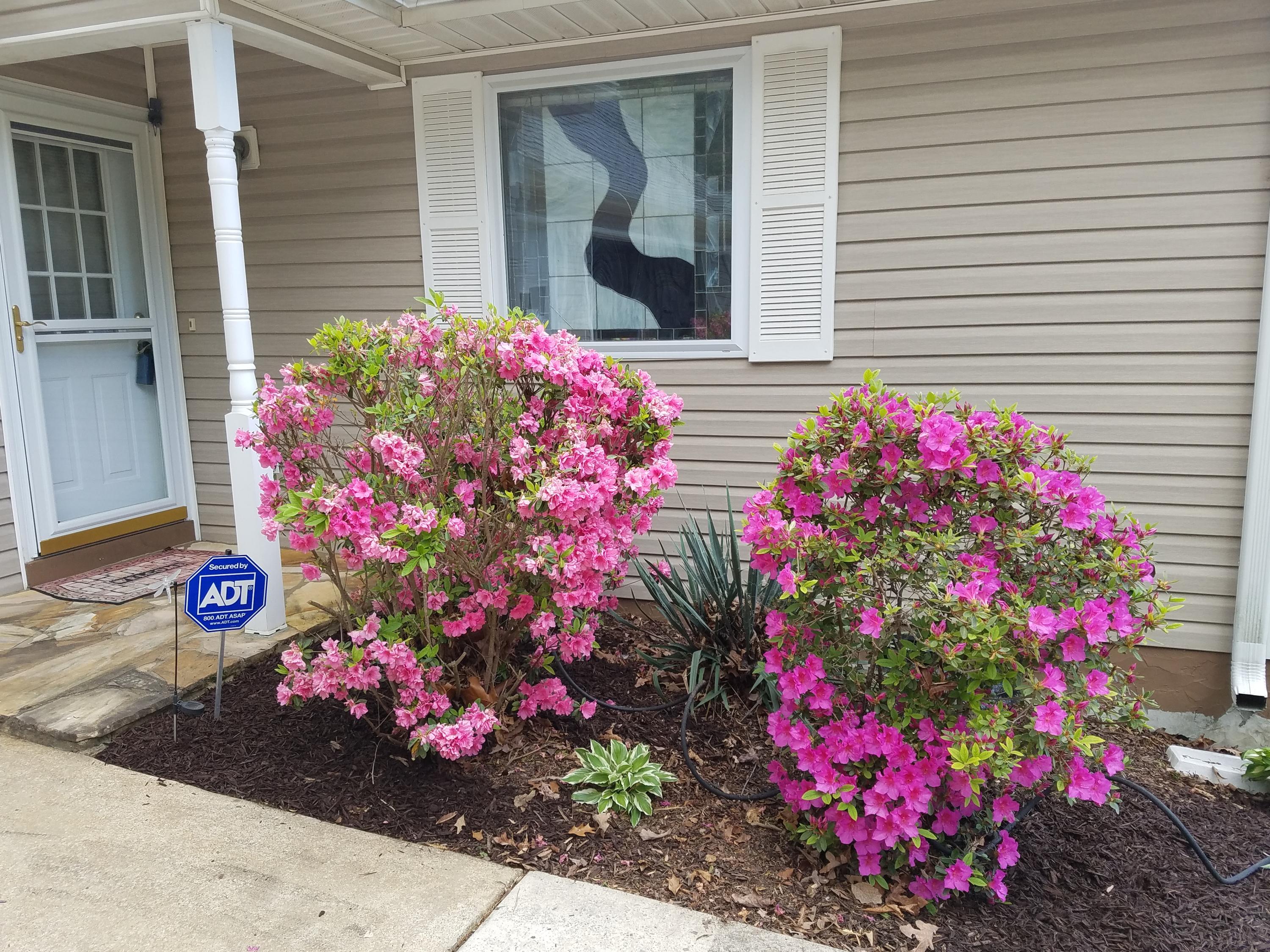 1625 Hales Bar Road Guild, TN 37340 - Photo 8 of 52 entry