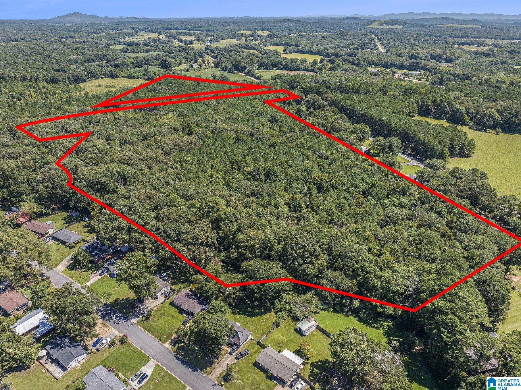 10614 Grist Mill Road, Unit 1 Childersburg, AL 35044 - Photo 8 of 9