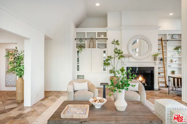 a living room with furniture a fireplace and a potted plant
