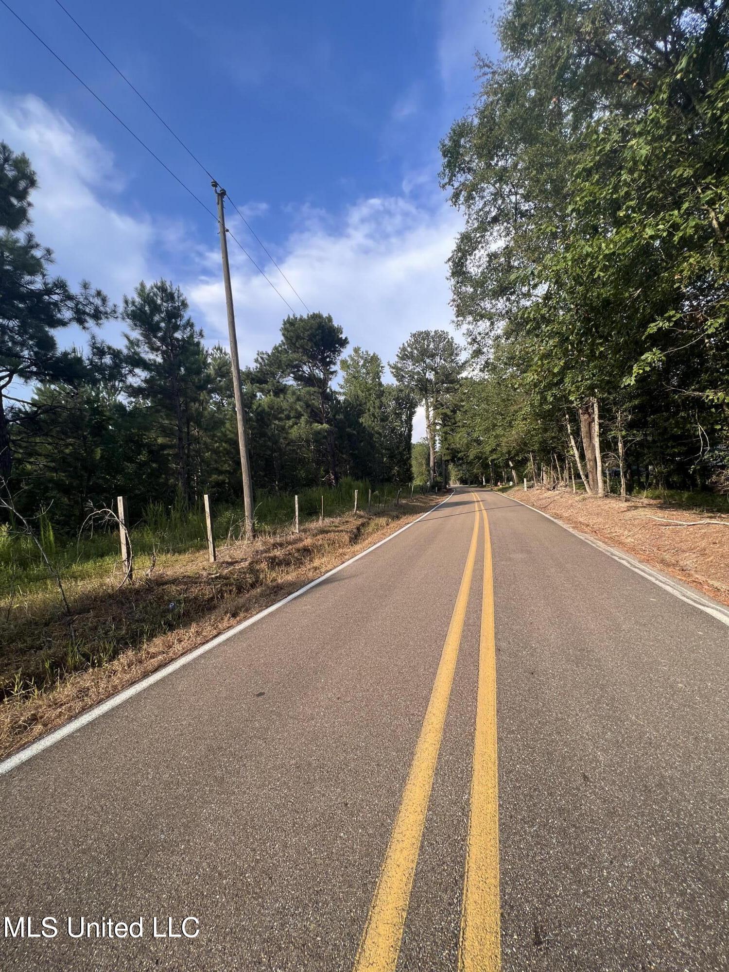 Foster Road Florence, MS 39073 - Photo 1 of 19 IMG_2862