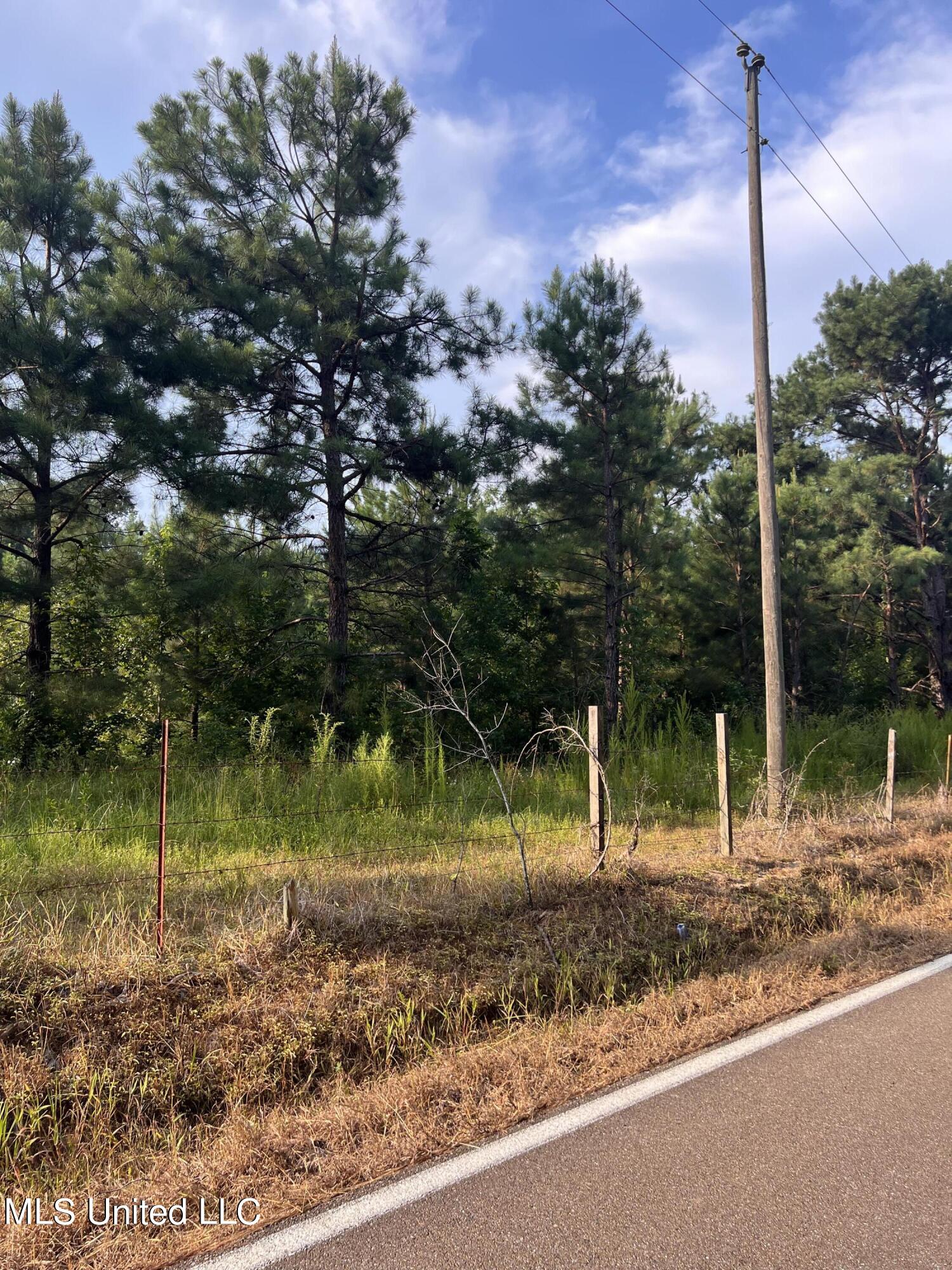Foster Road Florence, MS 39073 - Photo 4 of 19 IMG_2859