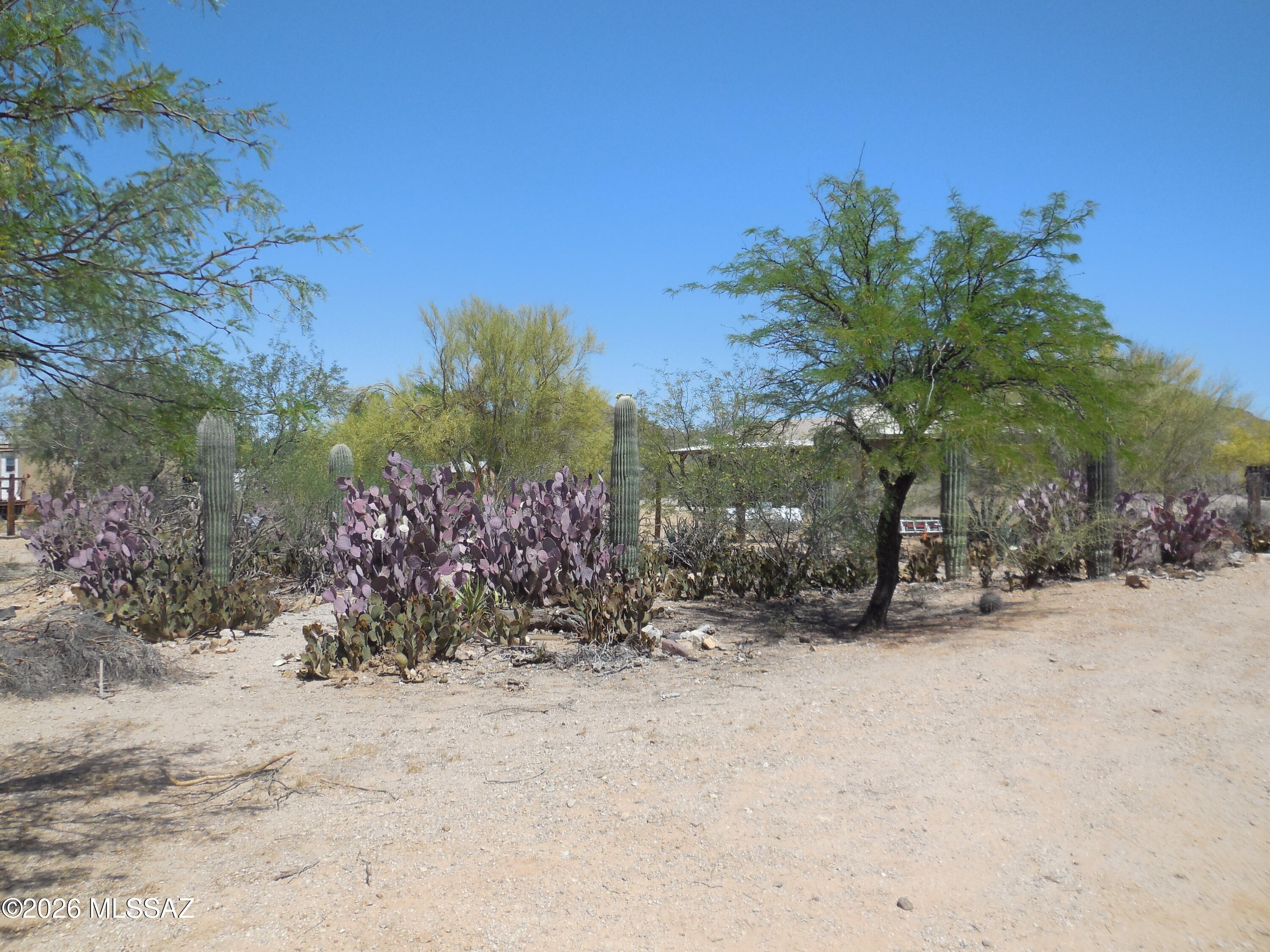 3950 South Deaver Road Tucson, AZ 85735 - Photo 11 of 30 DSCN0534