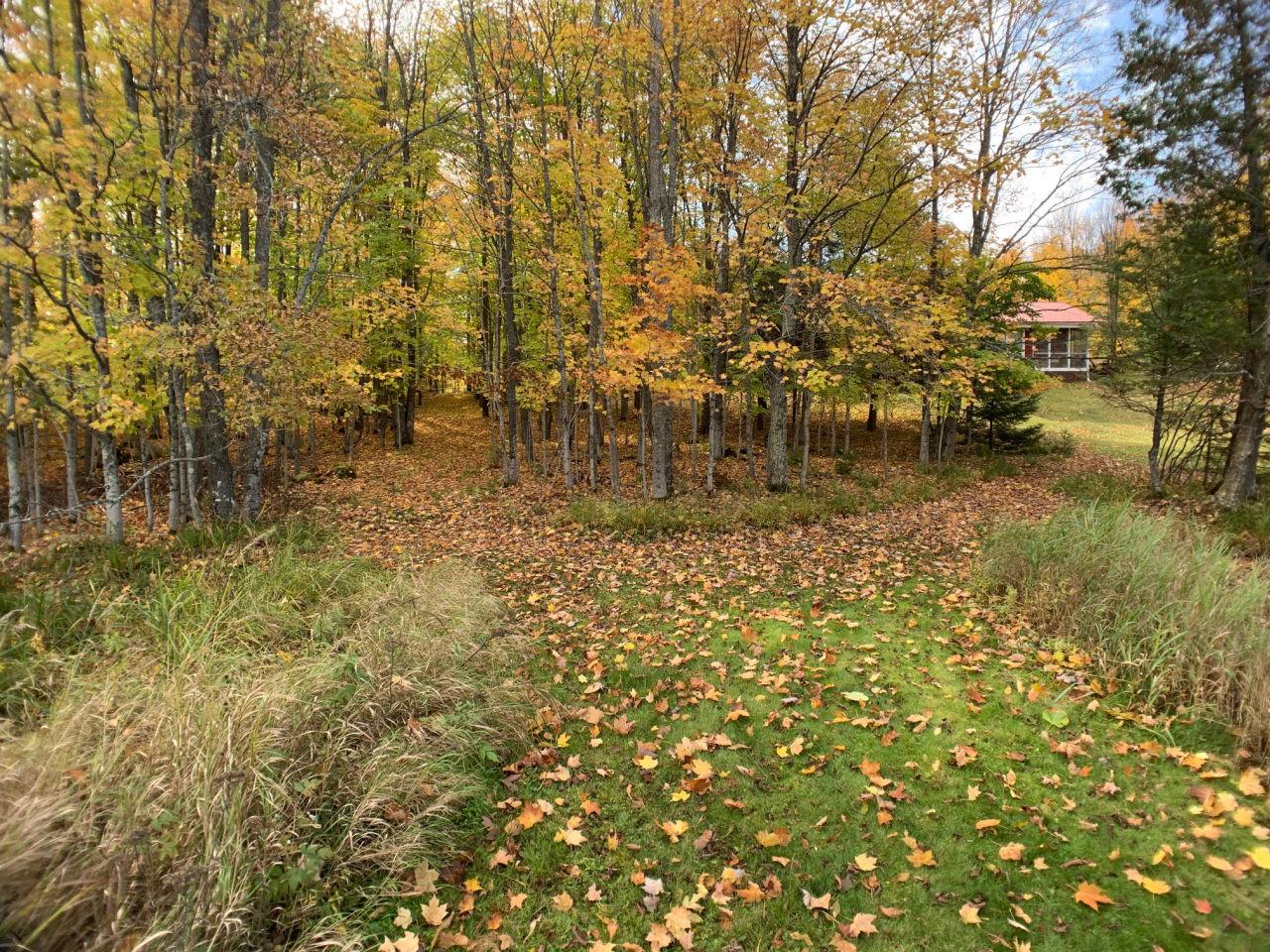 W9092 Safe Harbor Road Butternut, WI 54514 - Photo 51 of 54 Gallery Image 51