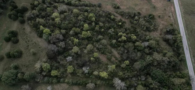 an aerial view of residential house with outdoor space and trees