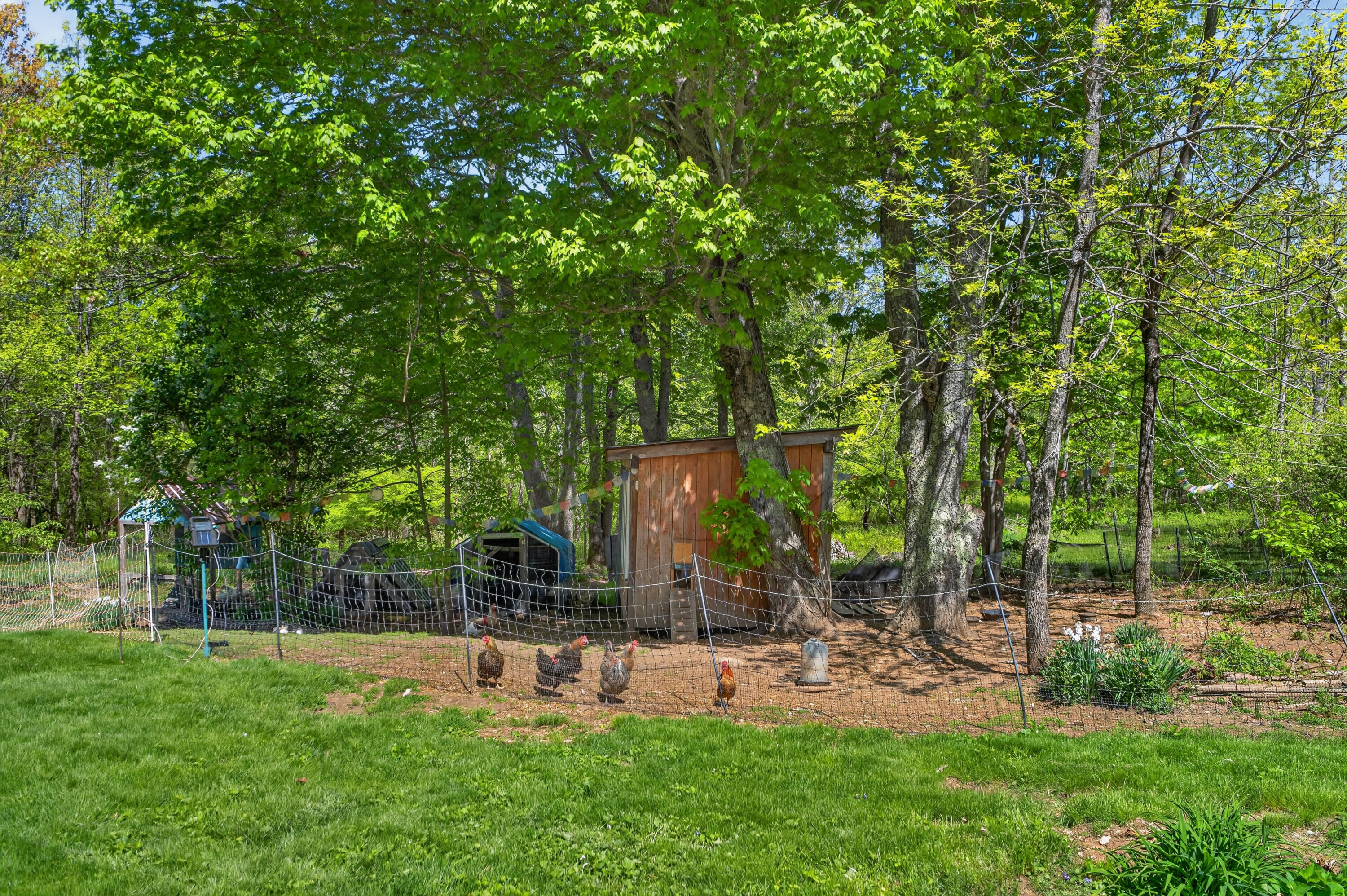 426 Bay Road Bowdoinham, ME 04008 - Photo 71 of 92 426 Bay Road_0189