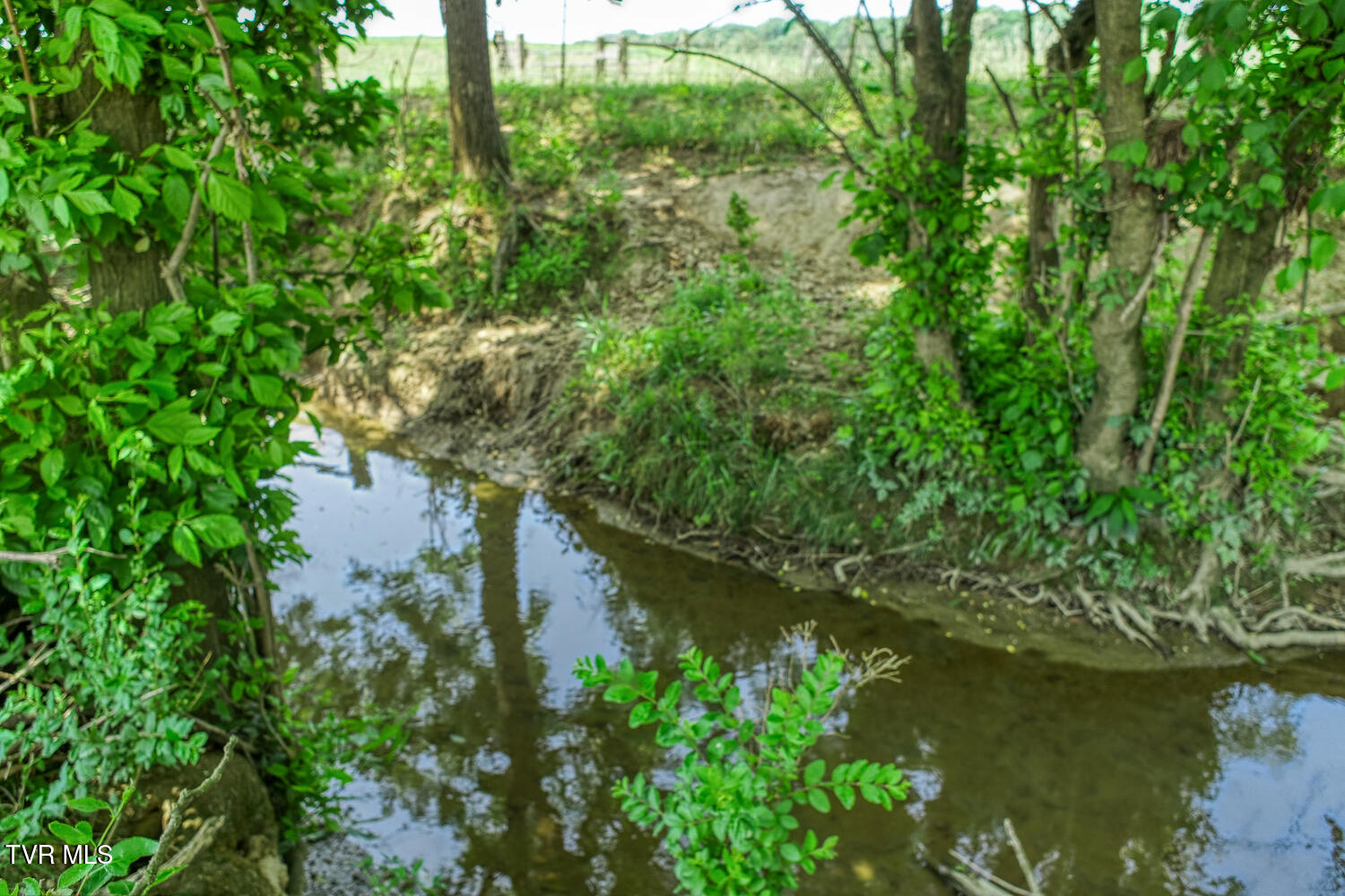 4135 Ottway Road Greeneville, TN 37745 - Photo 86 of 116 J Carter Ottway Gvl MLSa (97 of 113)