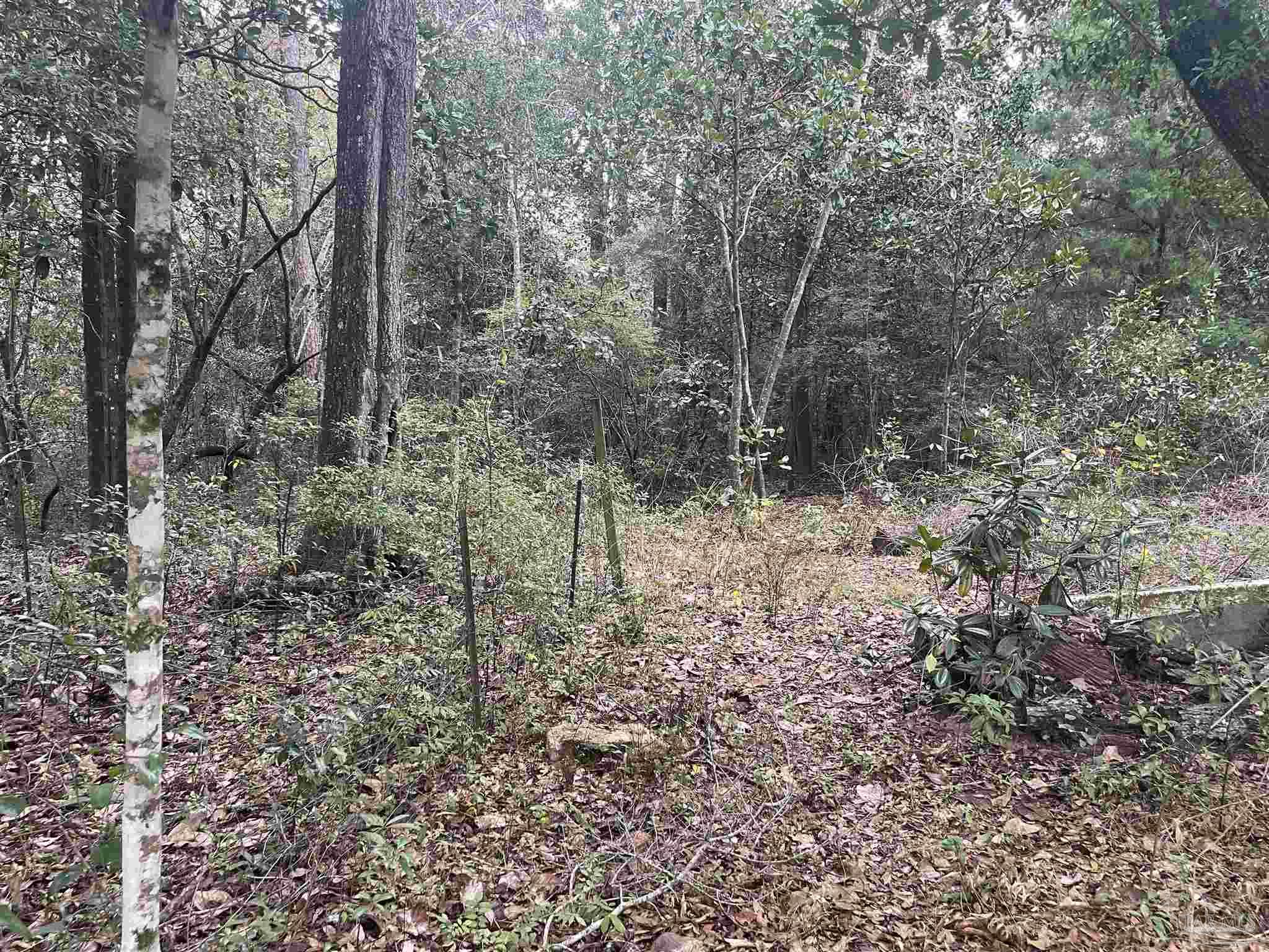 7310 Johnson Road Milton, FL 32583 - Photo 19 of 21 Gallery Image 19