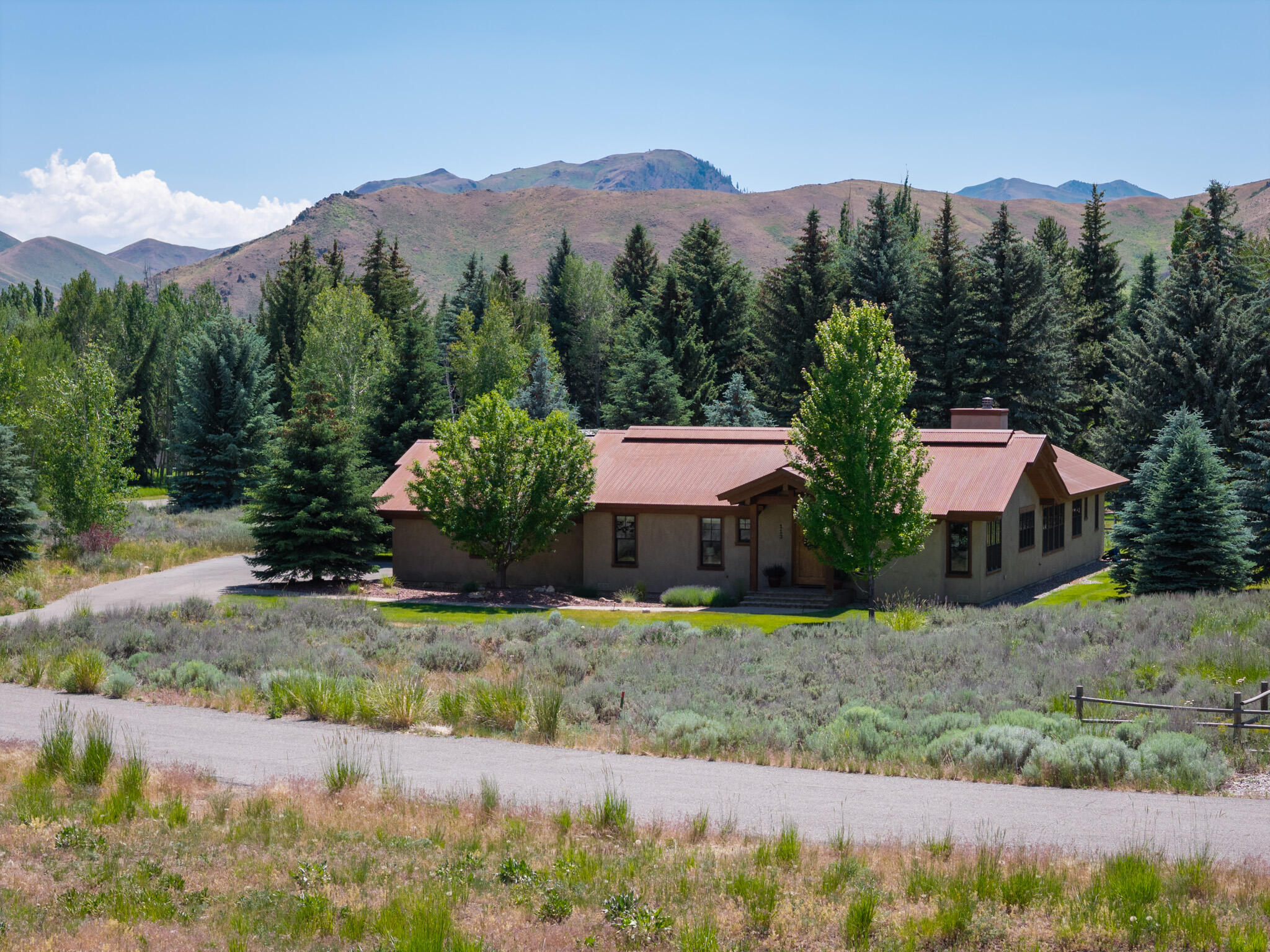 113 Snowplant Road Hailey, ID 83333 - Photo 25 of 26 Aerial