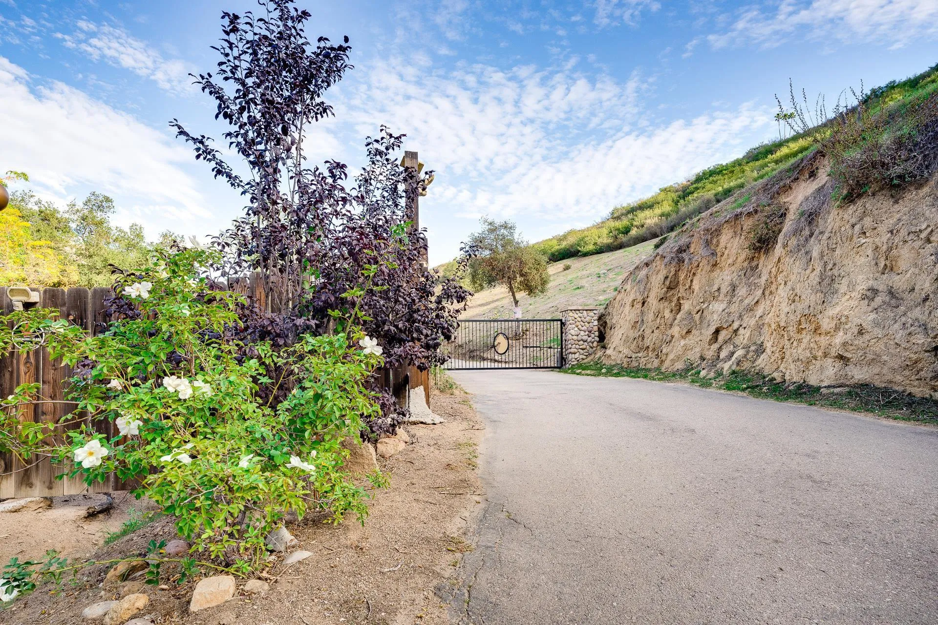 15380 Oak Canyon Road Poway, CA 92064 - Photo 4 of 52