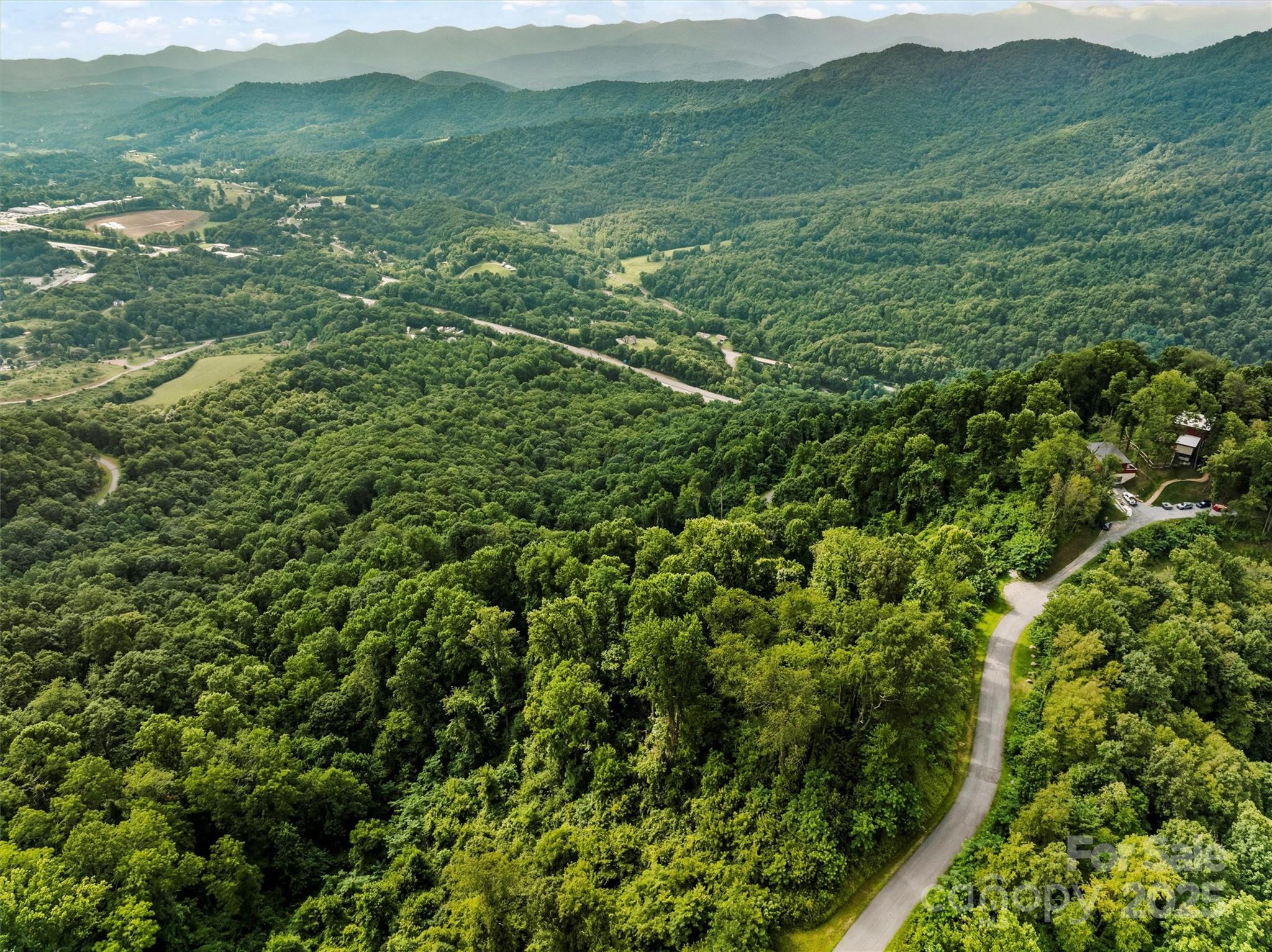 9999 Blue Ridge View Drive Canton, NC 28716 - Photo 11 of 18 a view of a lush green hillside and houses