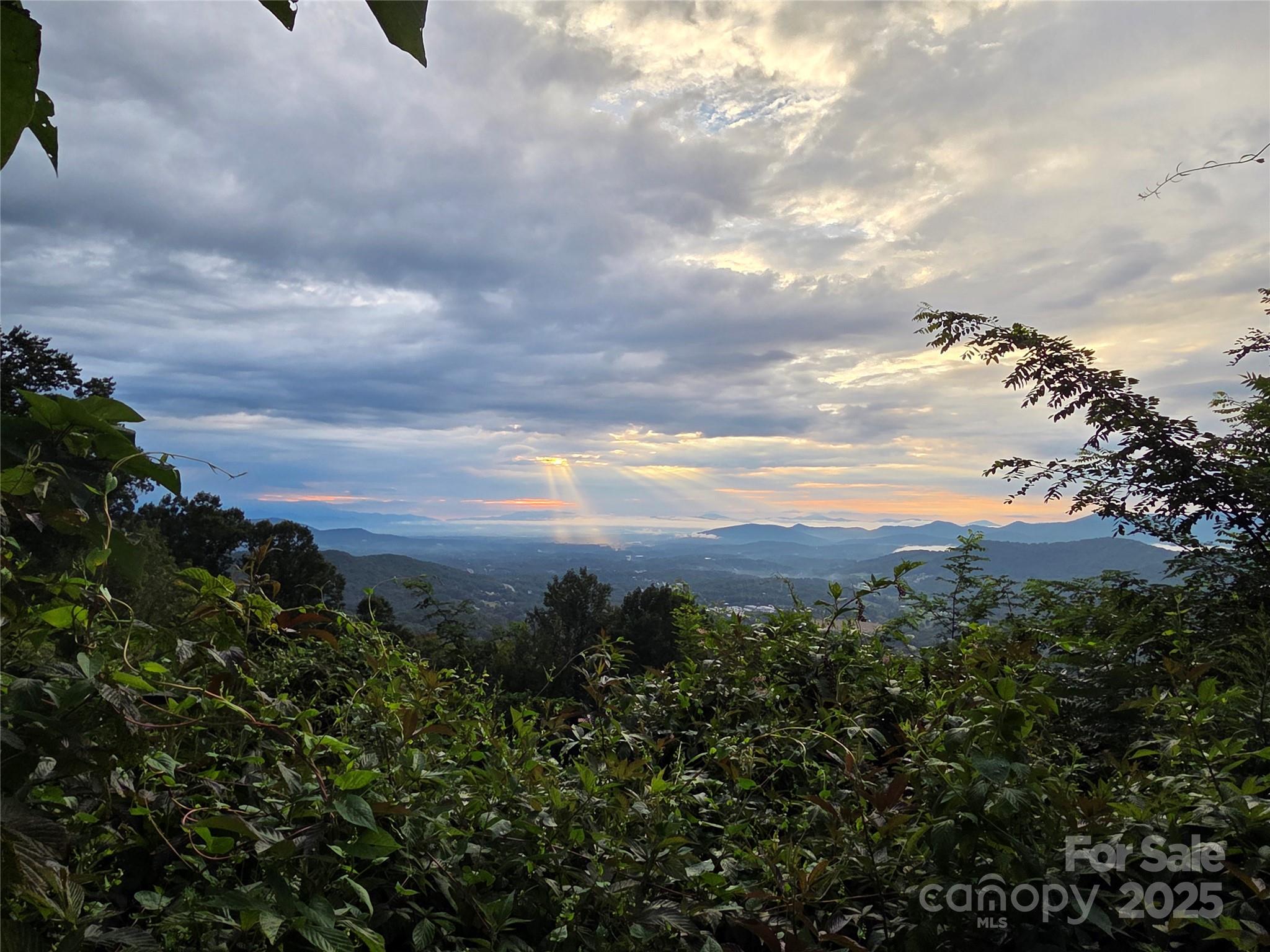 9999 Blue Ridge View Drive Canton, NC 28716 - Photo 17 of 18 a view of a city and a lot of trees