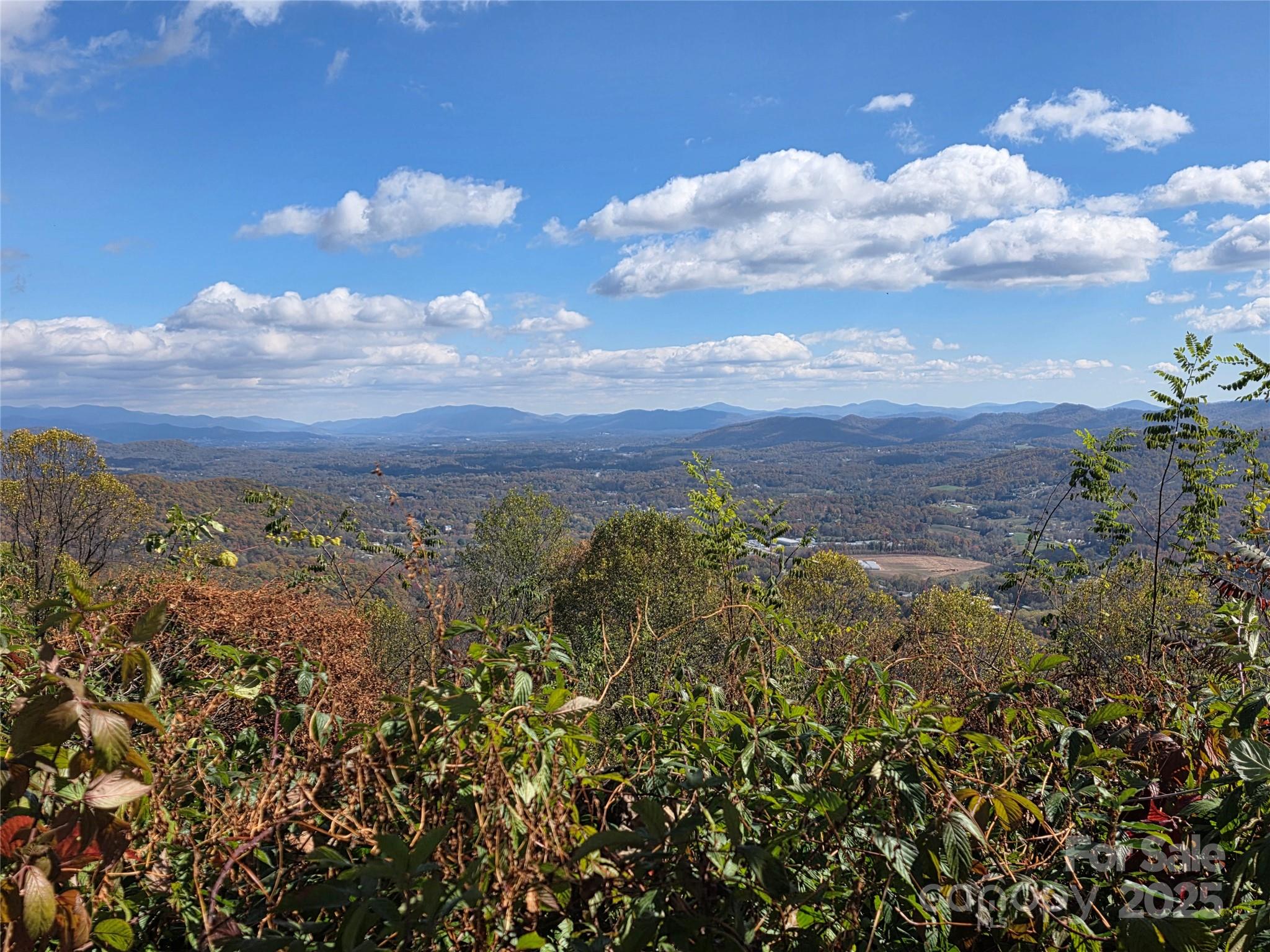 9999 Blue Ridge View Drive Canton, NC 28716 - Photo 18 of 18 a view of a bunch of trees and houses