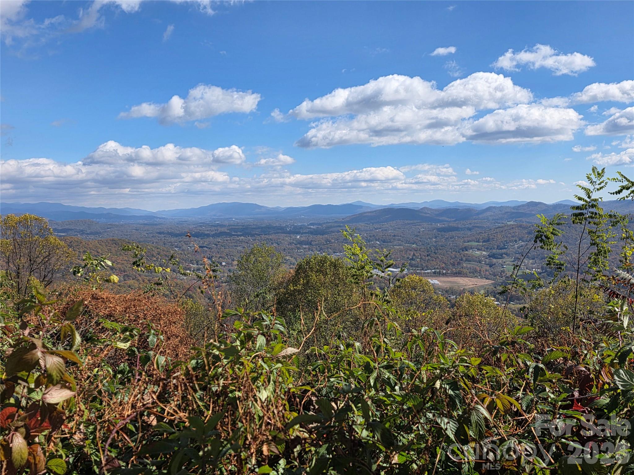 9999 Blue Ridge View Drive Canton, NC 28716 - Photo 18 of 18 a view of a bunch of trees and houses