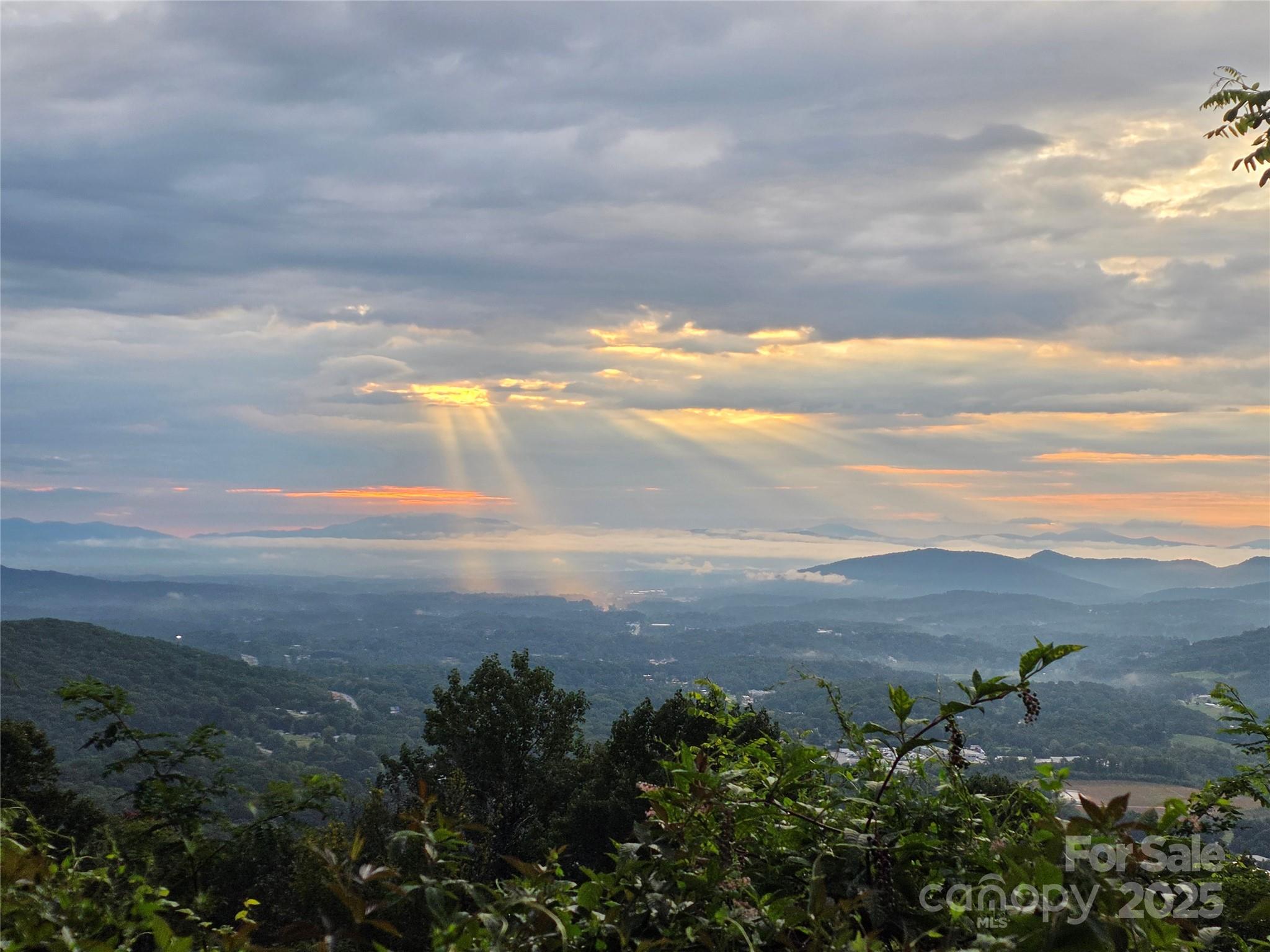 9999 Blue Ridge View Drive Canton, NC 28716 - Photo 2 of 18