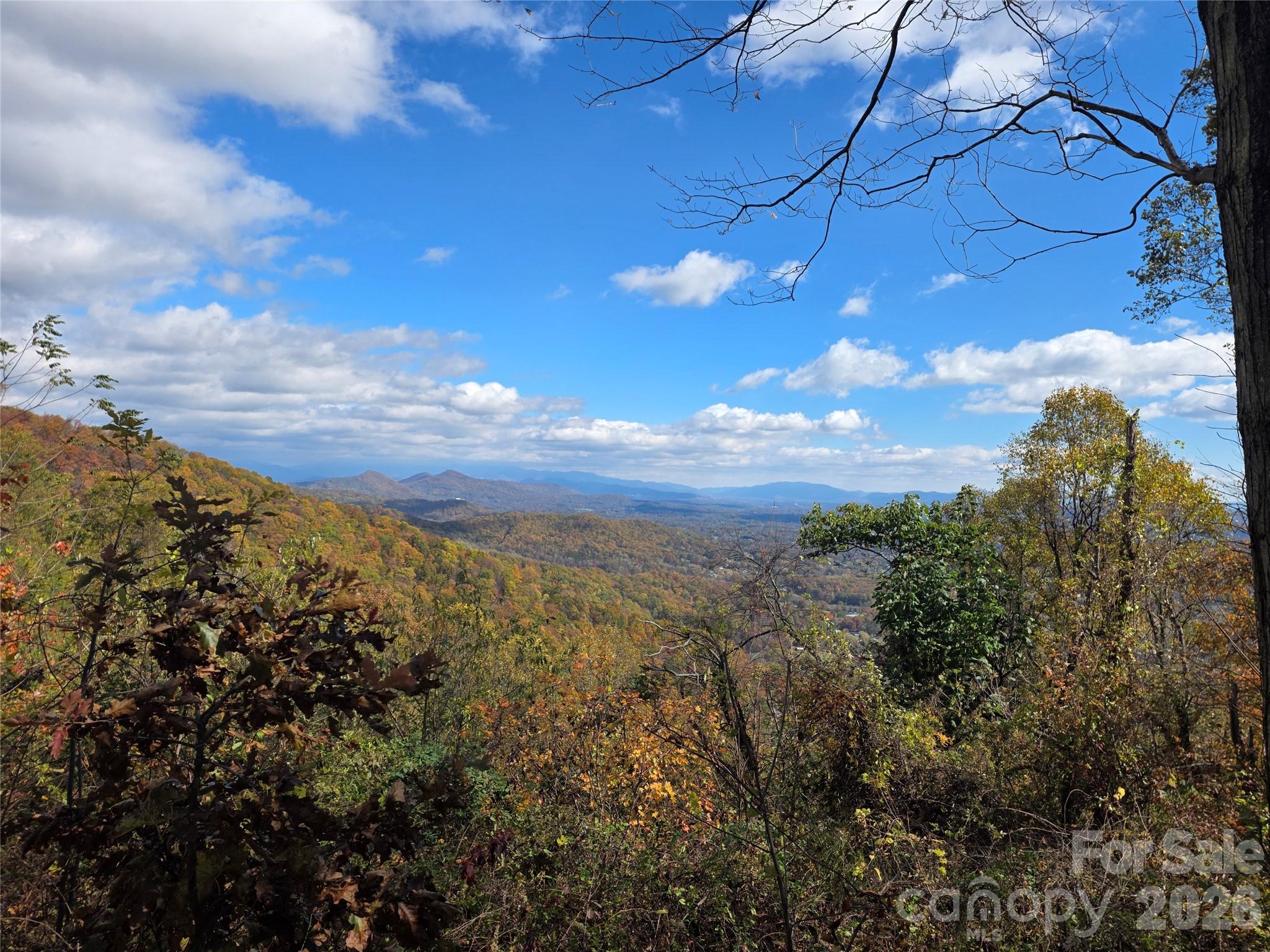 9999 Blue Ridge View Drive Canton, NC 28716 - Photo 3 of 18 a view of a city