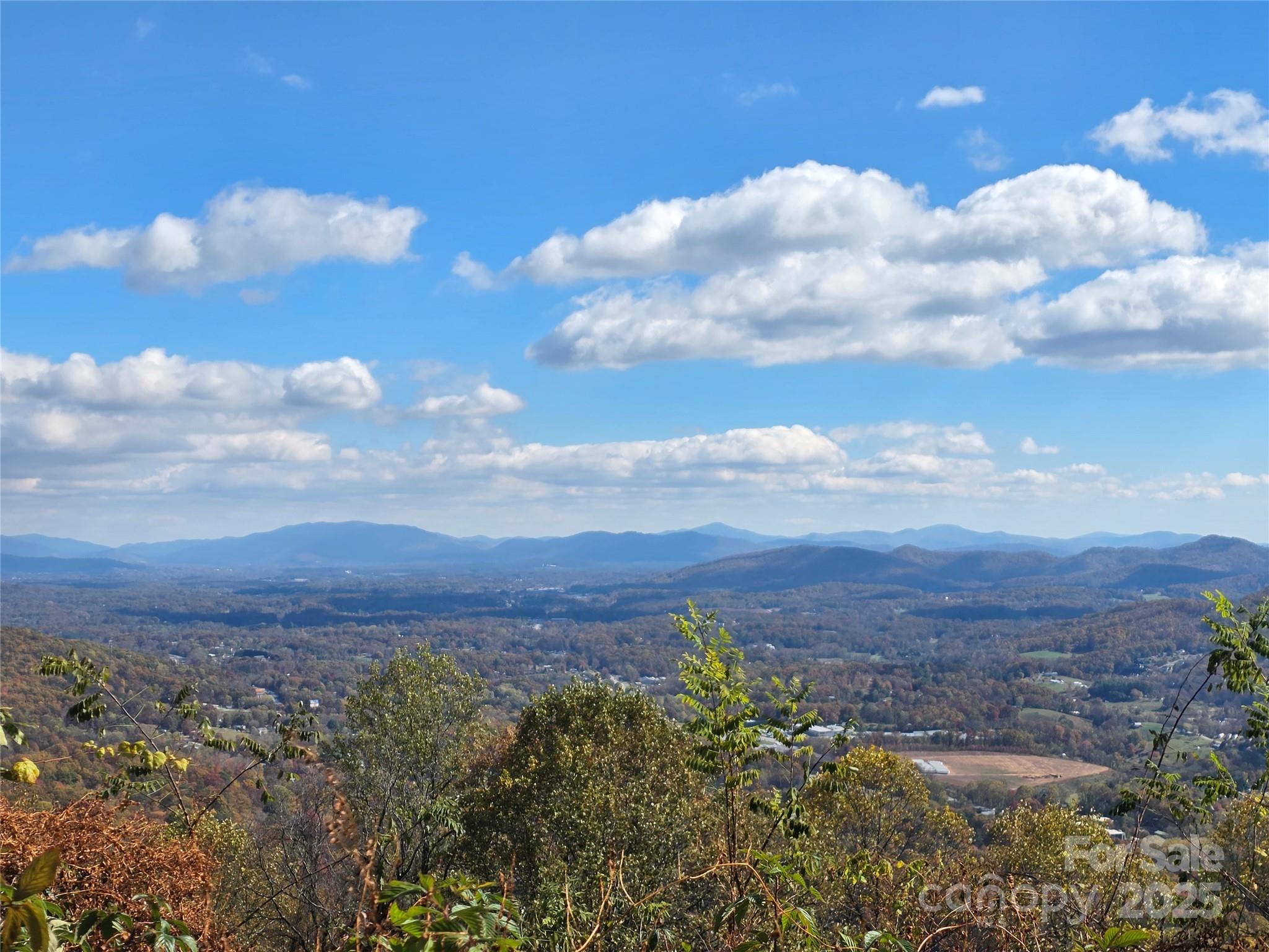 9999 Blue Ridge View Drive Canton, NC 28716 - Photo 3 of 18 a view of a bunch of trees in background