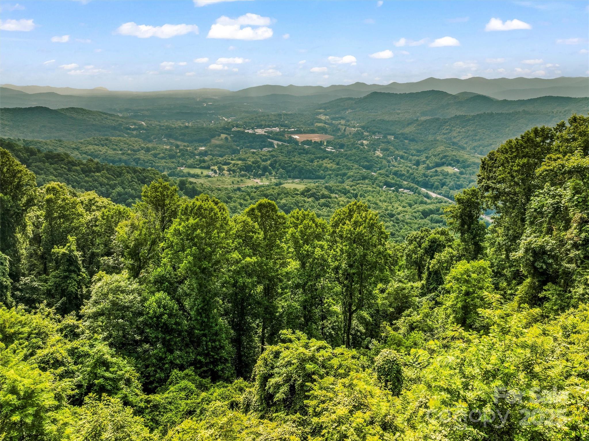 9999 Blue Ridge View Drive Canton, NC 28716 - Photo 5 of 18 a view of a green field with lots of bushes