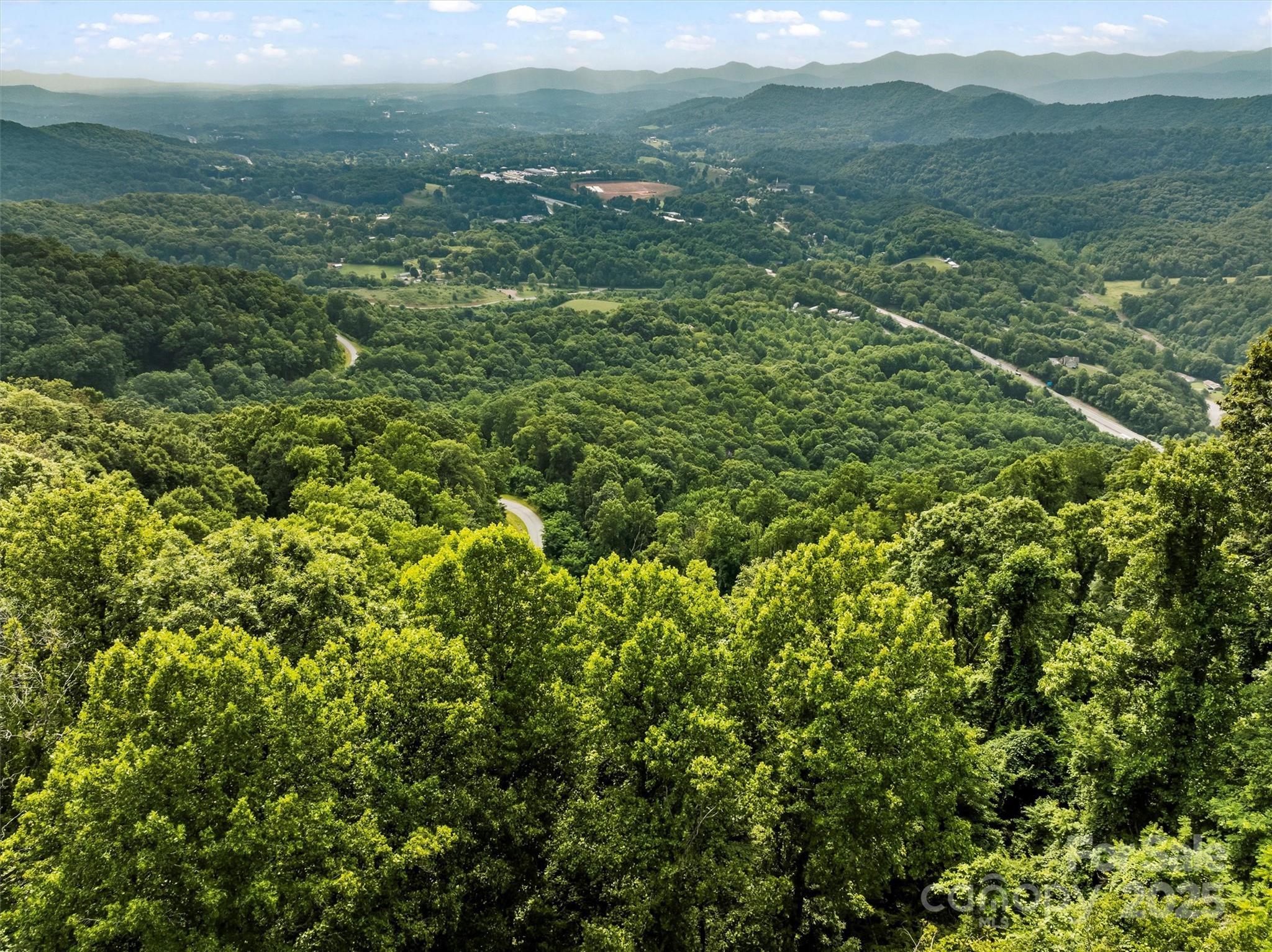 9999 Blue Ridge View Drive Canton, NC 28716 - Photo 6 of 18 a view of a green field with lots of bushes