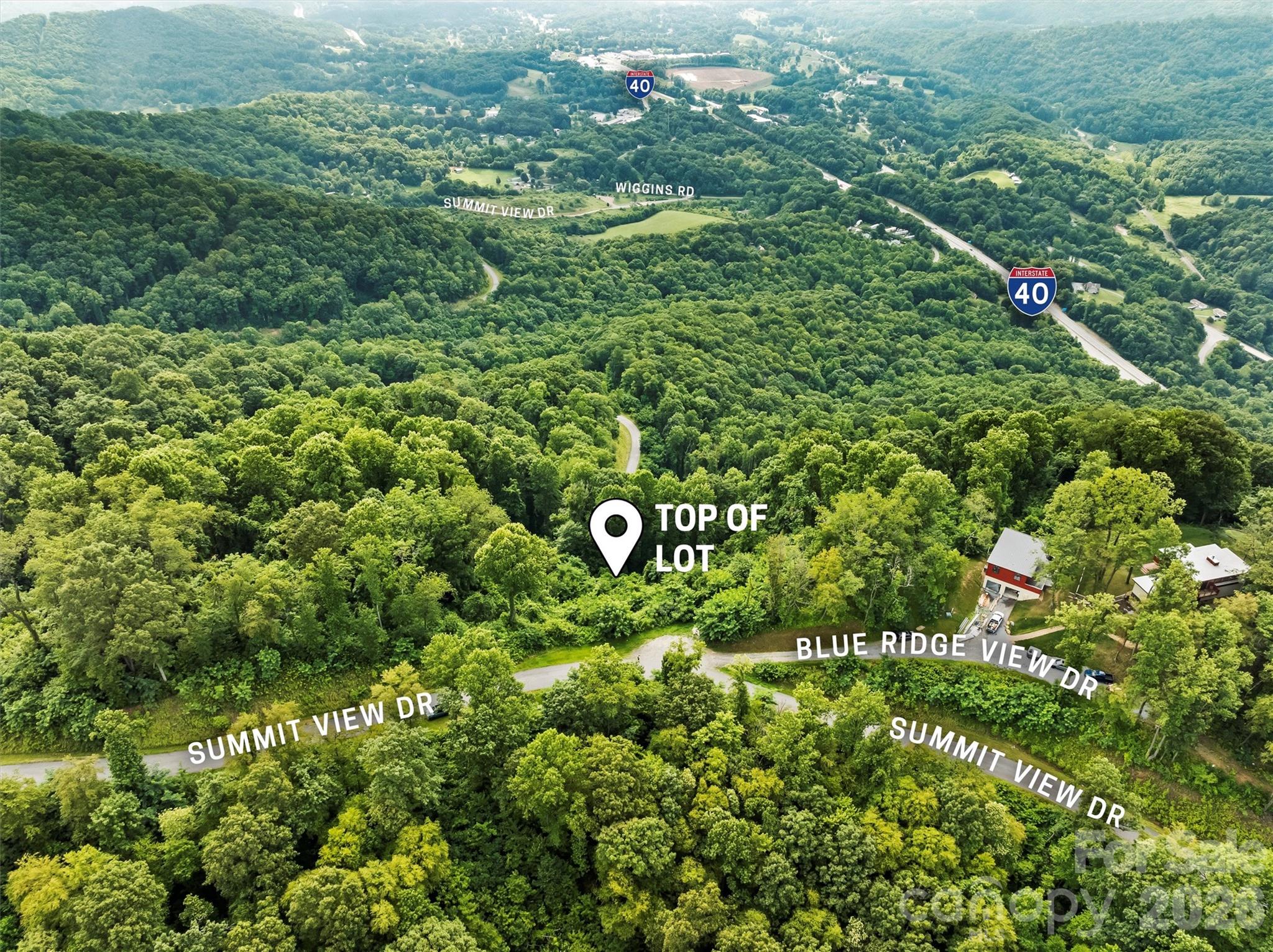 9999 Blue Ridge View Drive Canton, NC 28716 - Photo 7 of 18 a view of a garden