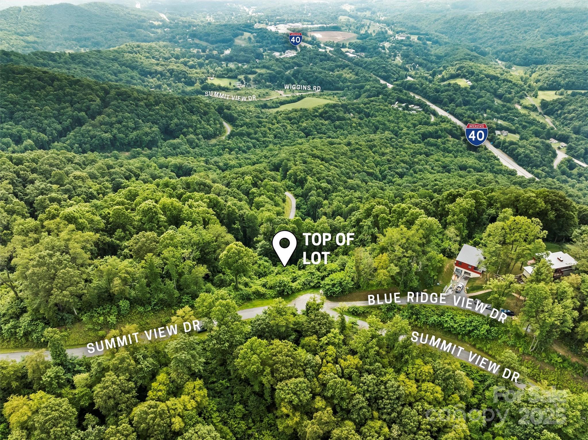 9999 Blue Ridge View Drive Canton, NC 28716 - Photo 7 of 18 a view of a garden