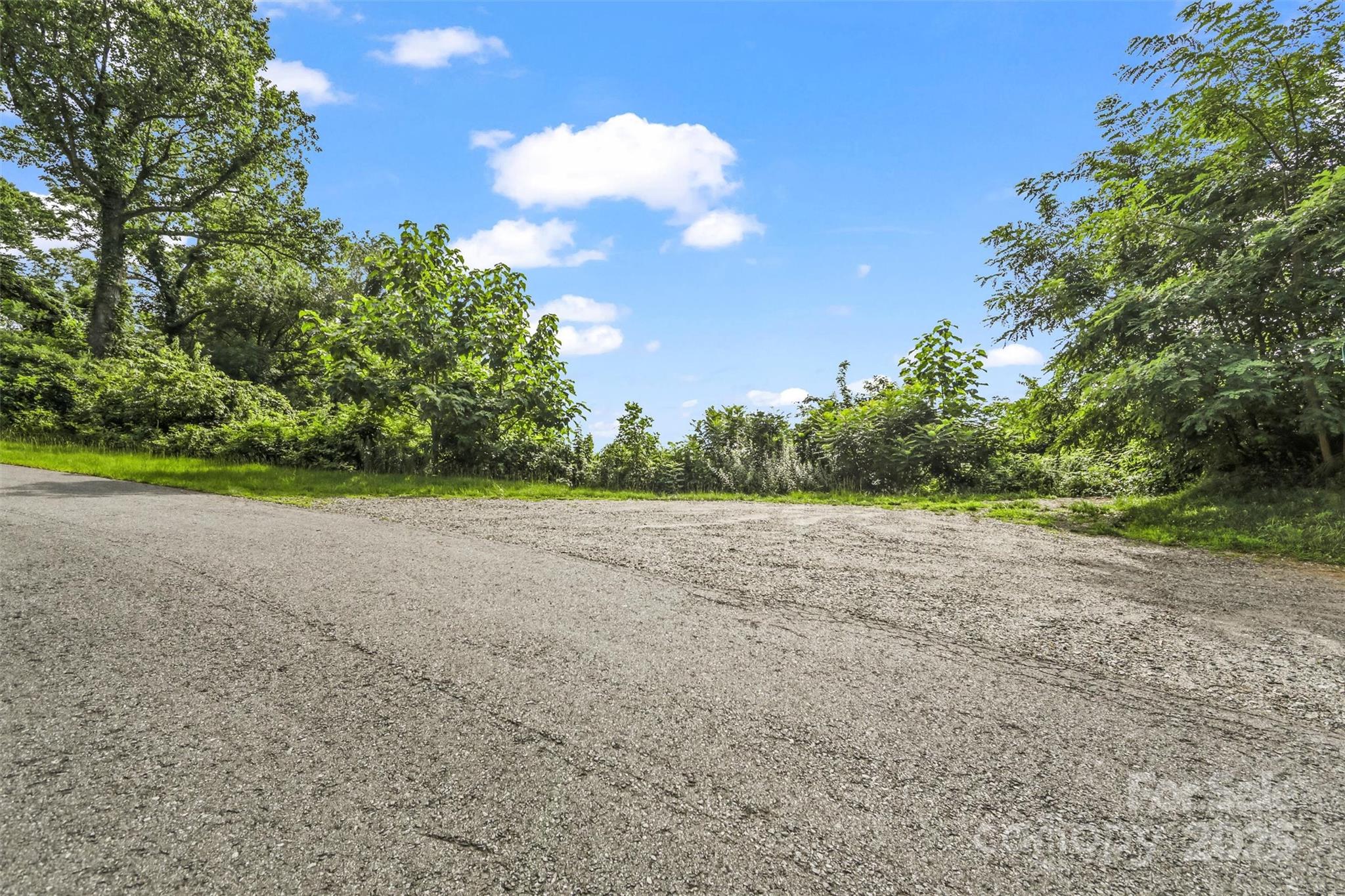 9999 Blue Ridge View Drive Canton, NC 28716 - Photo 8 of 18 a view of a field with trees in background