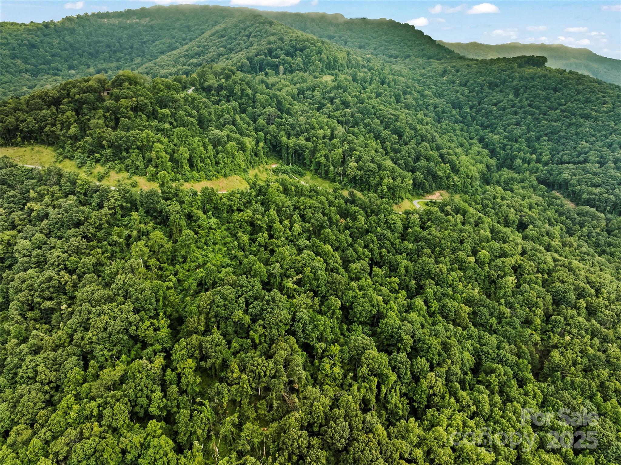 9999 Blue Ridge View Drive Canton, NC 28716 - Photo 9 of 18 a view of a lush green field with a mountain in the background
