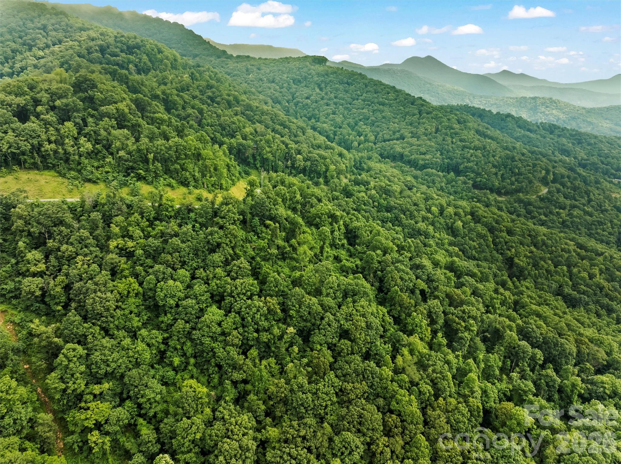 9999 Blue Ridge View Drive Canton, NC 28716 - Photo 10 of 18 a view of a lush green forest with a mountain