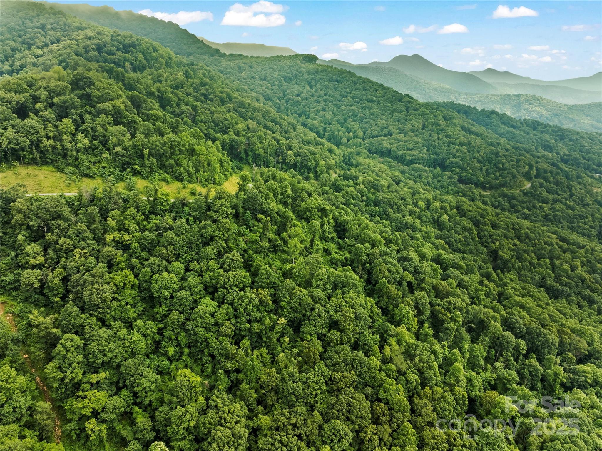 9999 Blue Ridge View Drive Canton, NC 28716 - Photo 10 of 18 a view of a lush green forest with a mountain