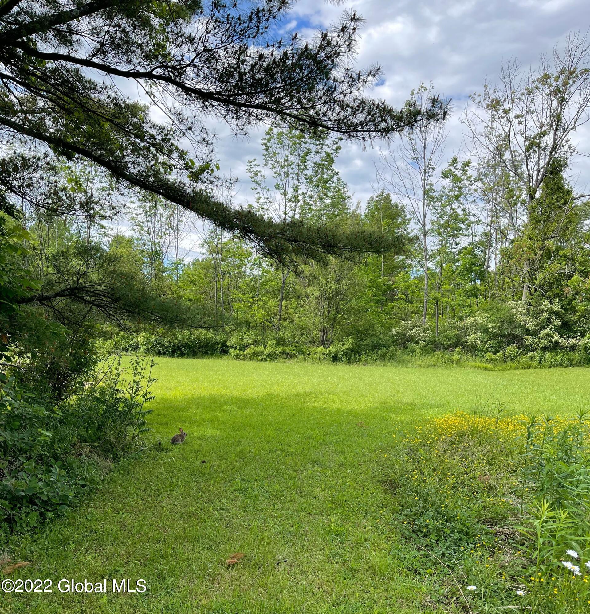 138 Log City Road Amsterdam, NY 12010 - Photo 23 of 26 back yard 3