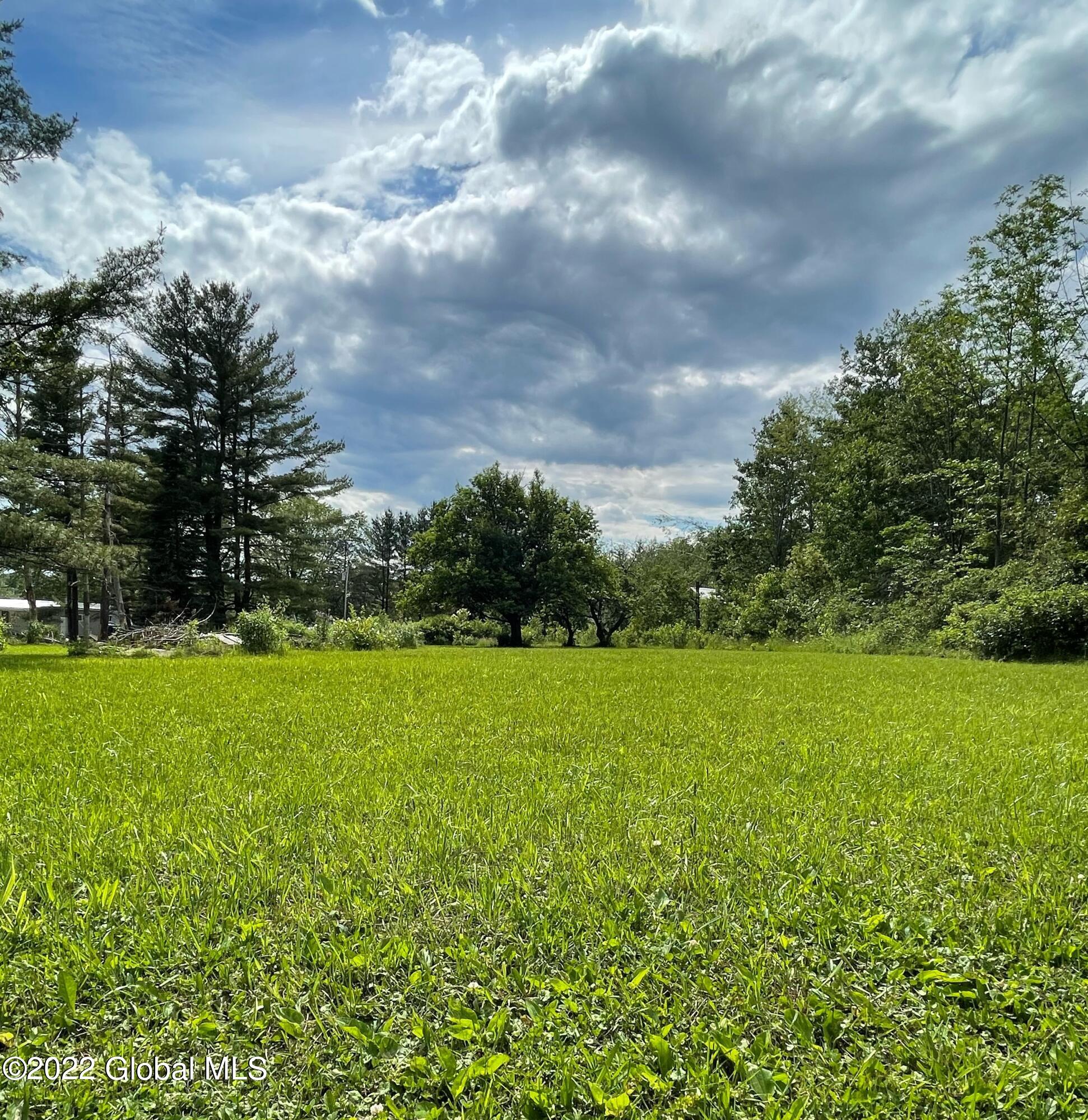 138 Log City Road Amsterdam, NY 12010 - Photo 26 of 26 Back yard 1
