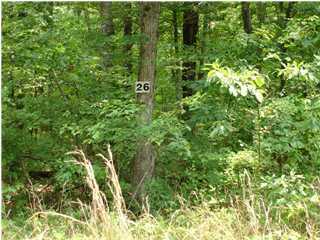 0 White Oak Swamp Road, Unit 1 Dunlap, TN 37327 - Photo 1 of 2 Primary Photo