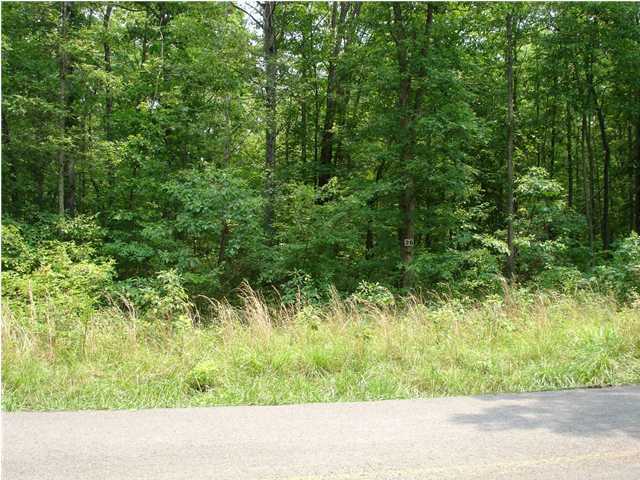 0 White Oak Swamp Road, Unit 1 Dunlap, TN 37327 - Photo 2 of 2 Additional Photo