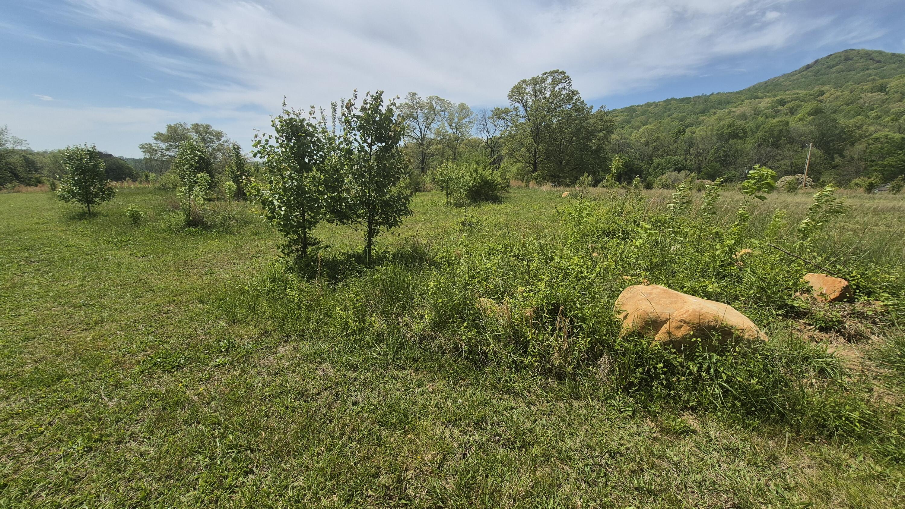525-527 Shady Grove Road Sequatchie, TN 37374 - Photo 12 of 55 back of property