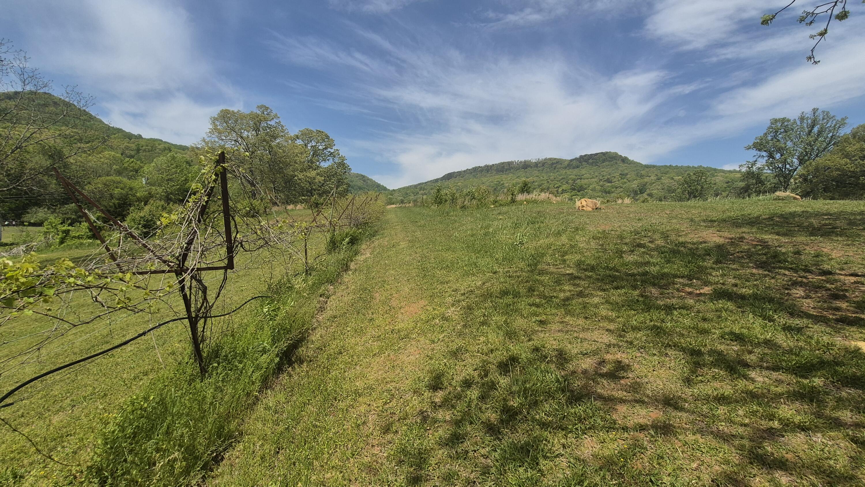 525-527 Shady Grove Road Sequatchie, TN 37374 - Photo 13 of 55 vineyards