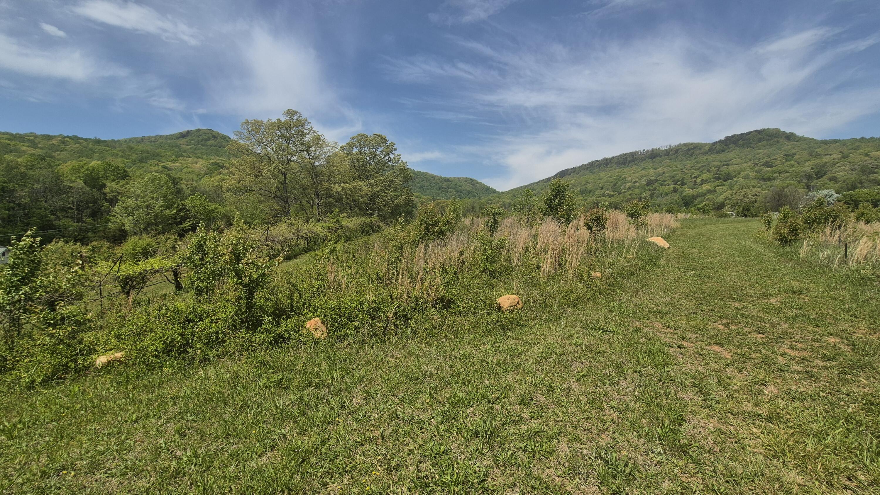 525-527 Shady Grove Road Sequatchie, TN 37374 - Photo 51 of 55 back