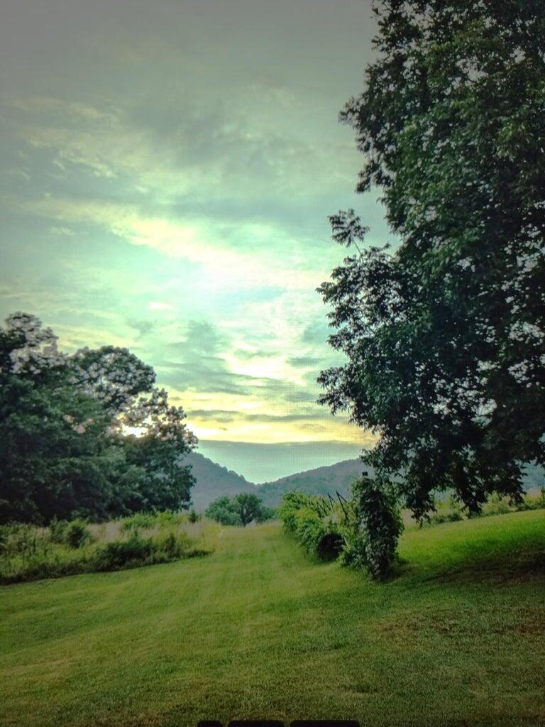 525-527 Shady Grove Road Sequatchie, TN 37374 - Photo 8 of 55 back