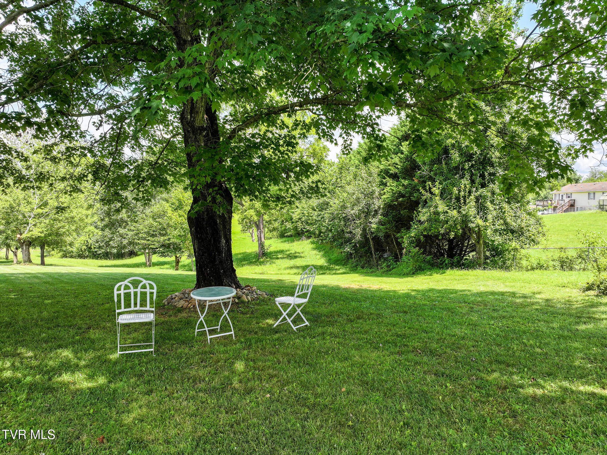 186 Garland Road Limestone, TN 37681 - Photo 33 of 45 DJI_20250716121814_0096_D