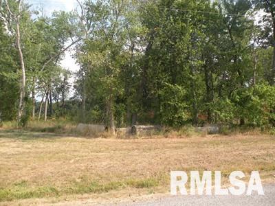 0 Oniontown Road Walnut Hill, IL 62893 - Photo 1 of 6
