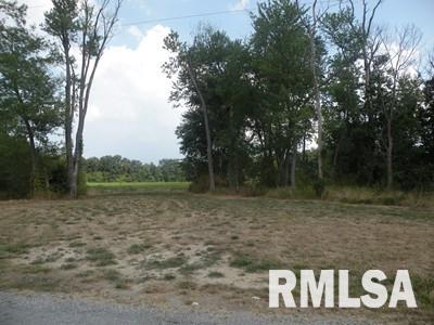 0 Oniontown Road Walnut Hill, IL 62893 - Photo 2 of 6