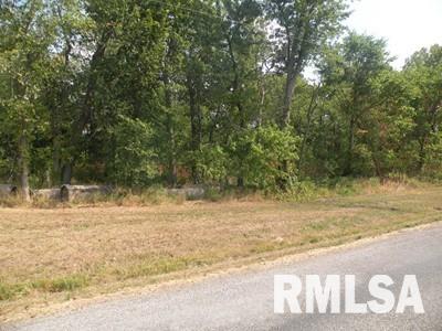 0 Oniontown Road Walnut Hill, IL 62893 - Photo 4 of 6