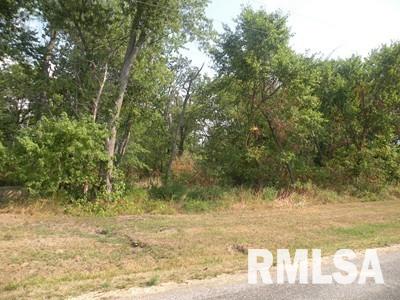 0 Oniontown Road Walnut Hill, IL 62893 - Photo 5 of 6