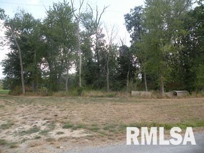 0 Oniontown Road Walnut Hill, IL 62893 - Photo 6 of 6