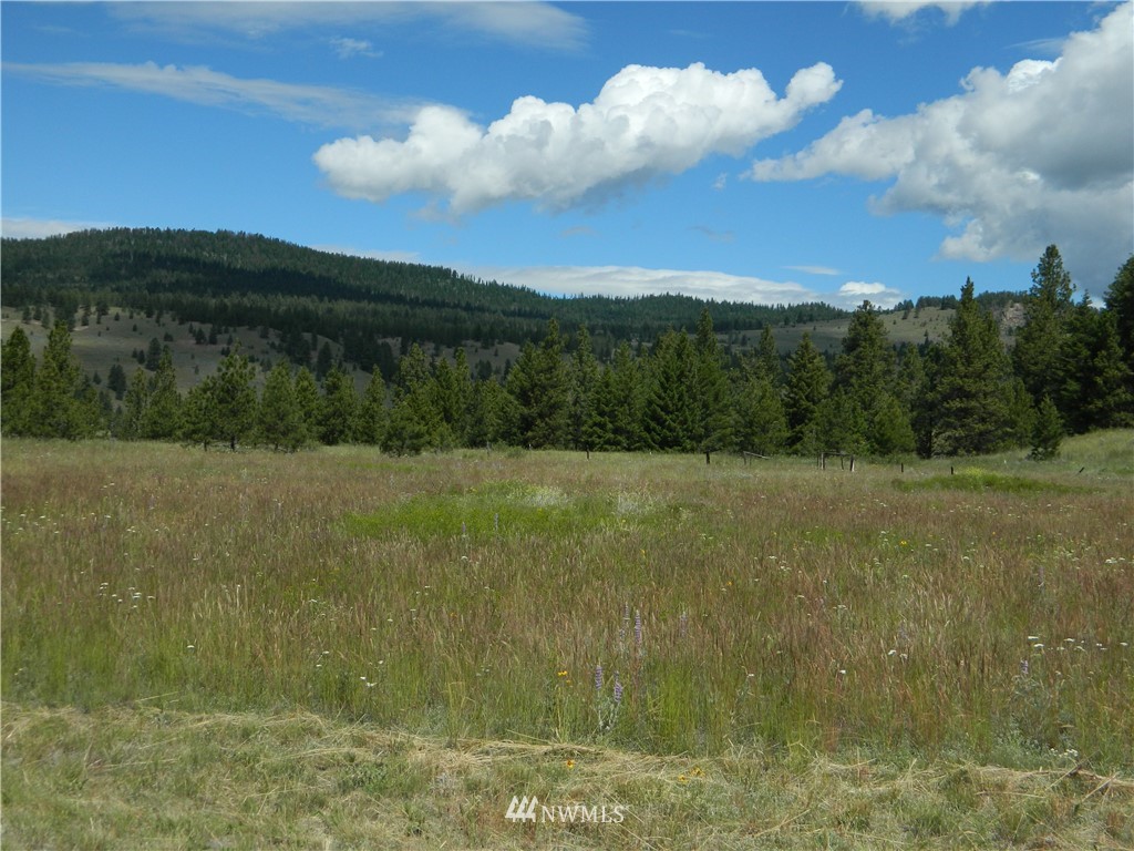 72 Hanging Rock Road Tonasket, WA 98855 - Photo 11 of 18 Gallery Image 11